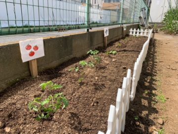 Kitchen garden　in First house NishiFunabashi