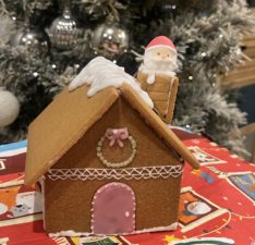 ꙳⋆ ࣪⊹ Xmas event 2025 in Takaido·˖ ࣪⊹