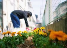 暖かい時期には植物もよく育ちます。