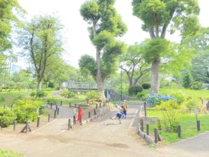 東新宿周辺散策🌳～戸山公園～🌳